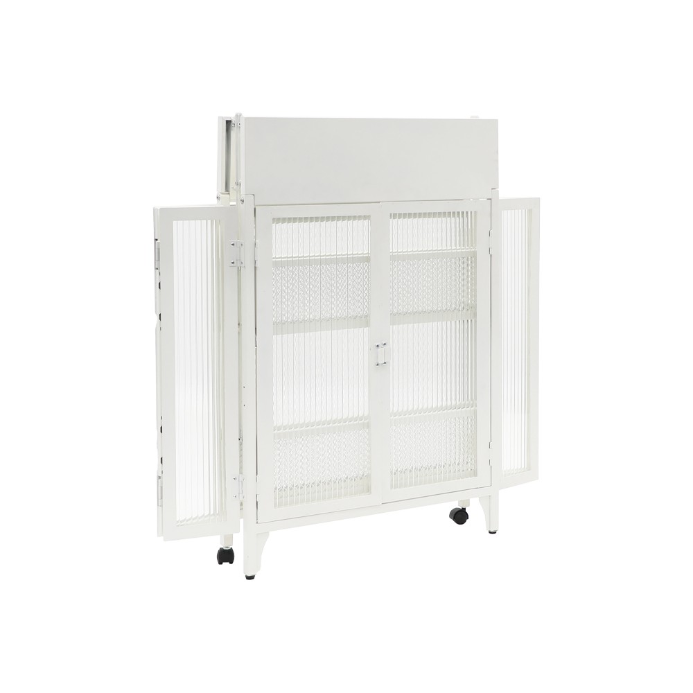 https://www.goldapplefurniture.com/factory-metal-galss-2-door-cabinet-steel-storage-cabinet-contemporary-go-fg6076a-product/